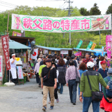 芝桜まつりの画像