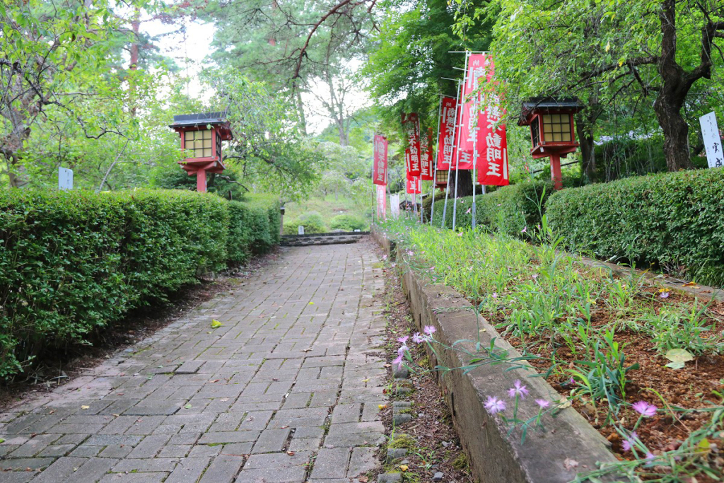 長瀞七草寺撫子の画像