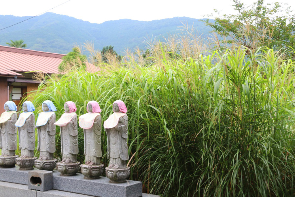 長瀞七草寺尾花の画像