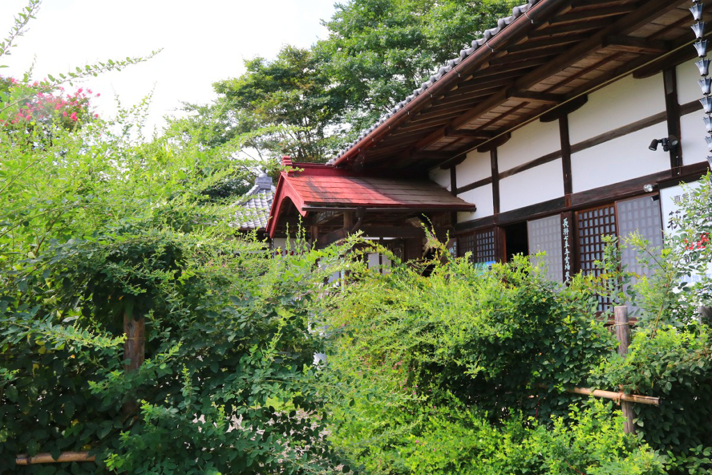 長瀞七草寺萩の画像