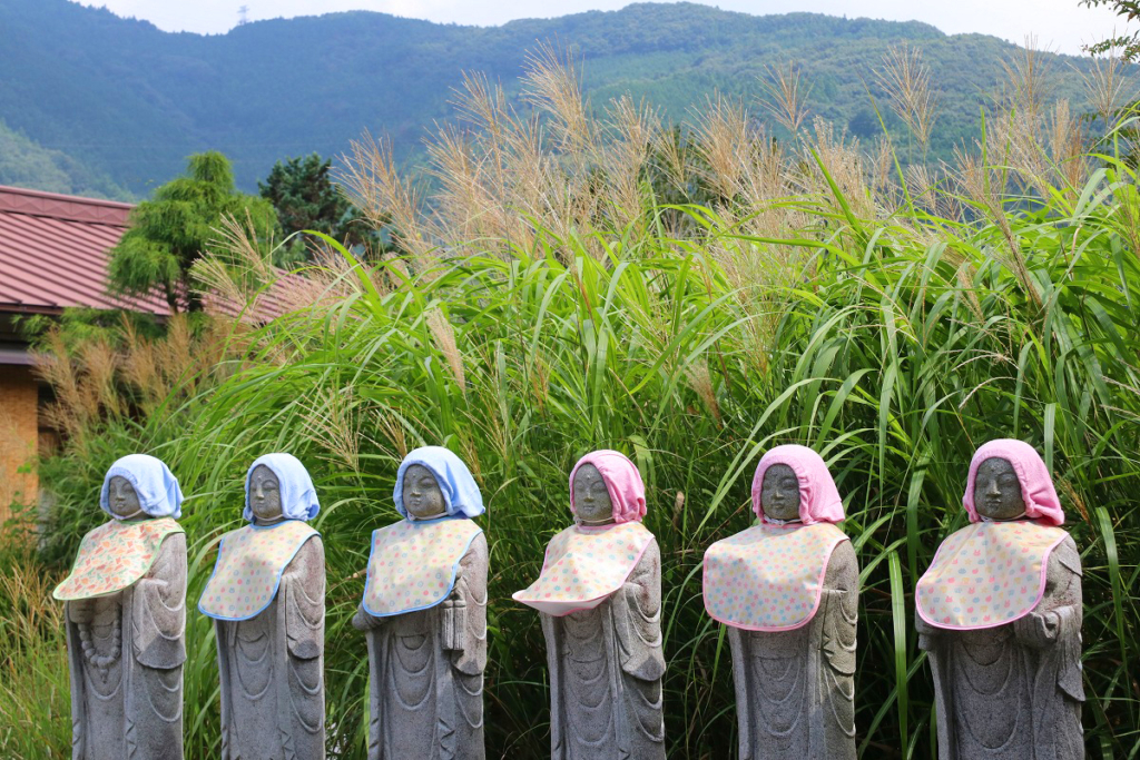 長瀞七草寺尾花の画像