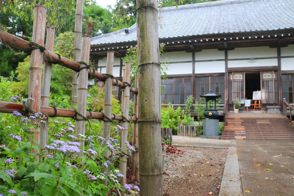 長瀞七草寺藤袴の画像