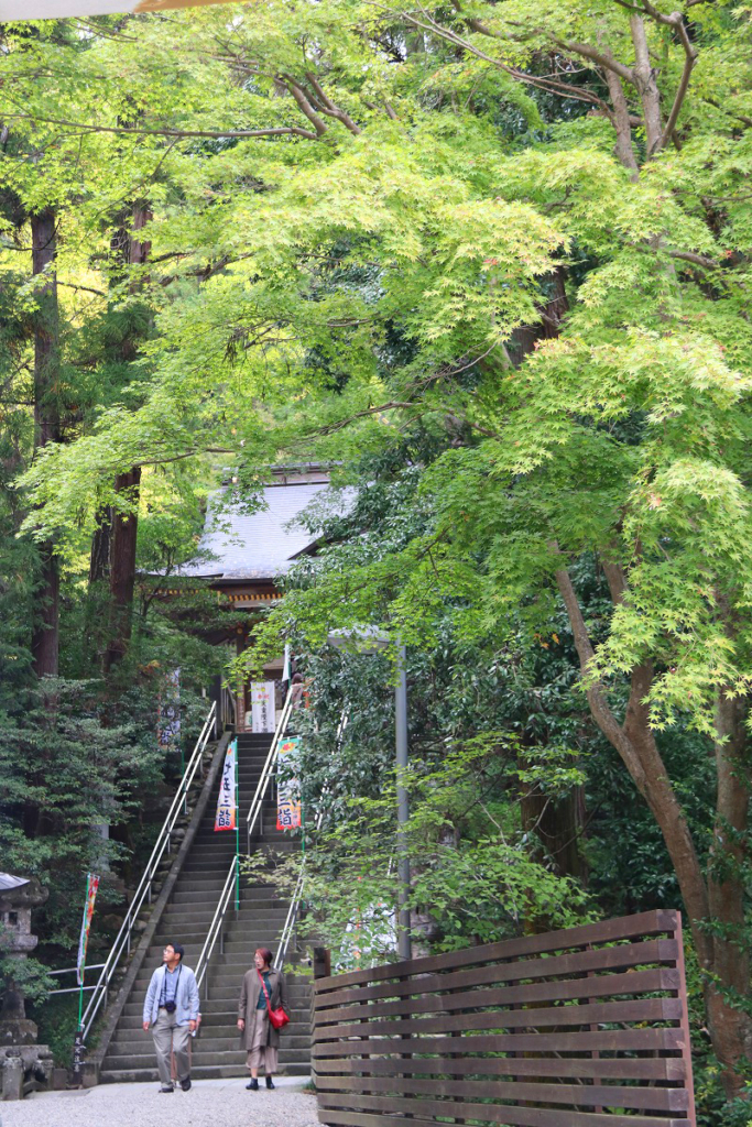 寶登山神社紅葉の画像