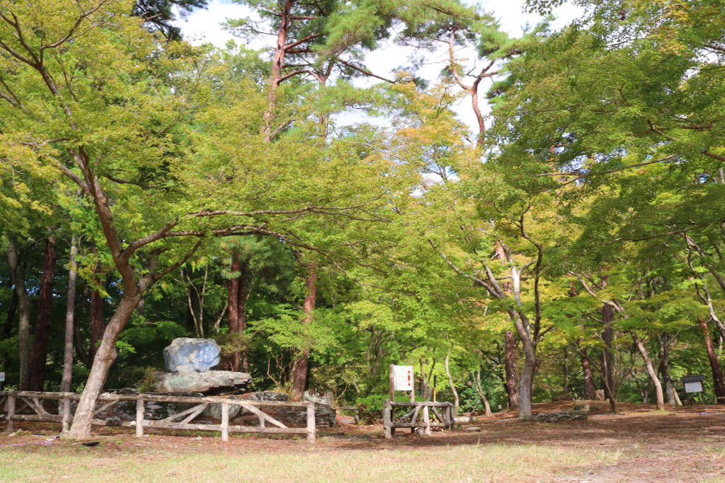 月の石もみじ公園紅葉の画像