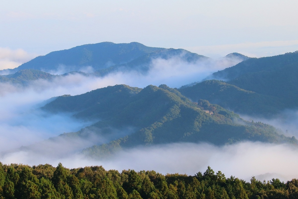 美の山雲海の画像