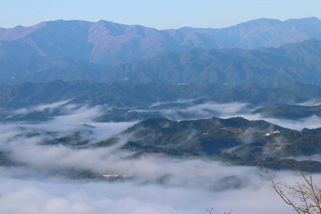 美の山雲海の画像