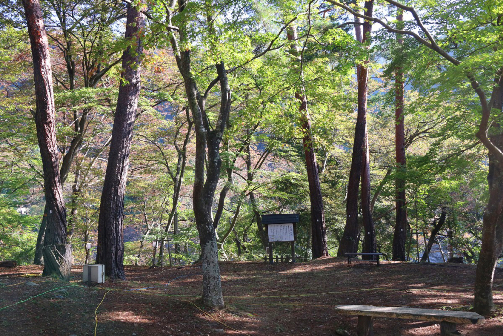 月の石もみじ公園紅葉の画像