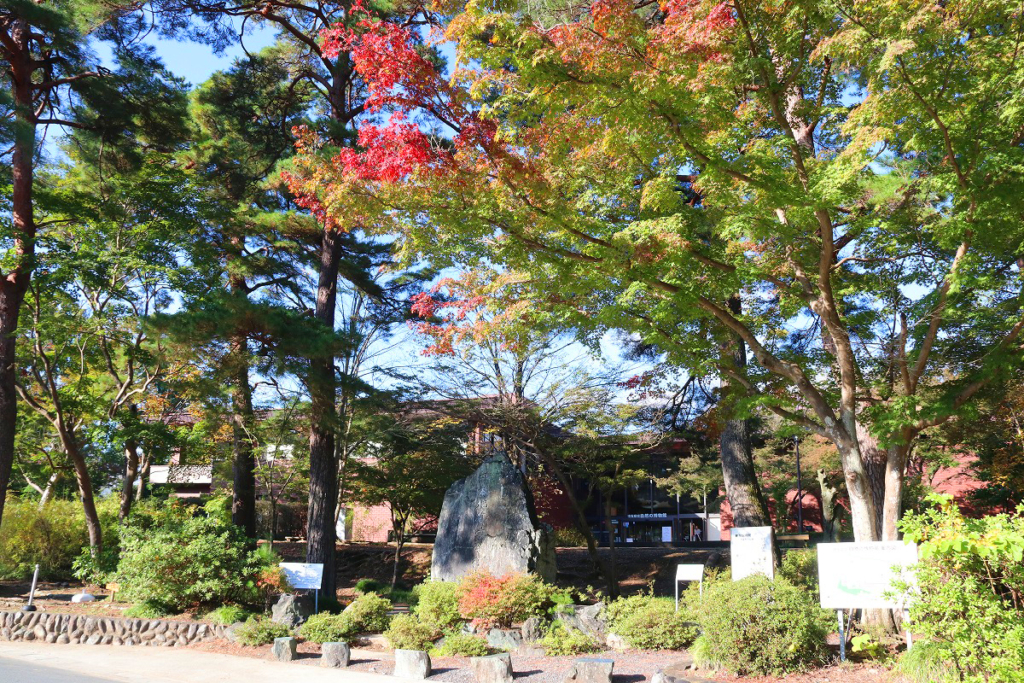 長瀞自然の博物館紅葉の画像