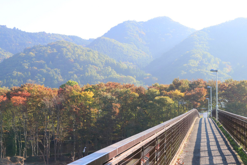 長瀞町金石水管橋の画像