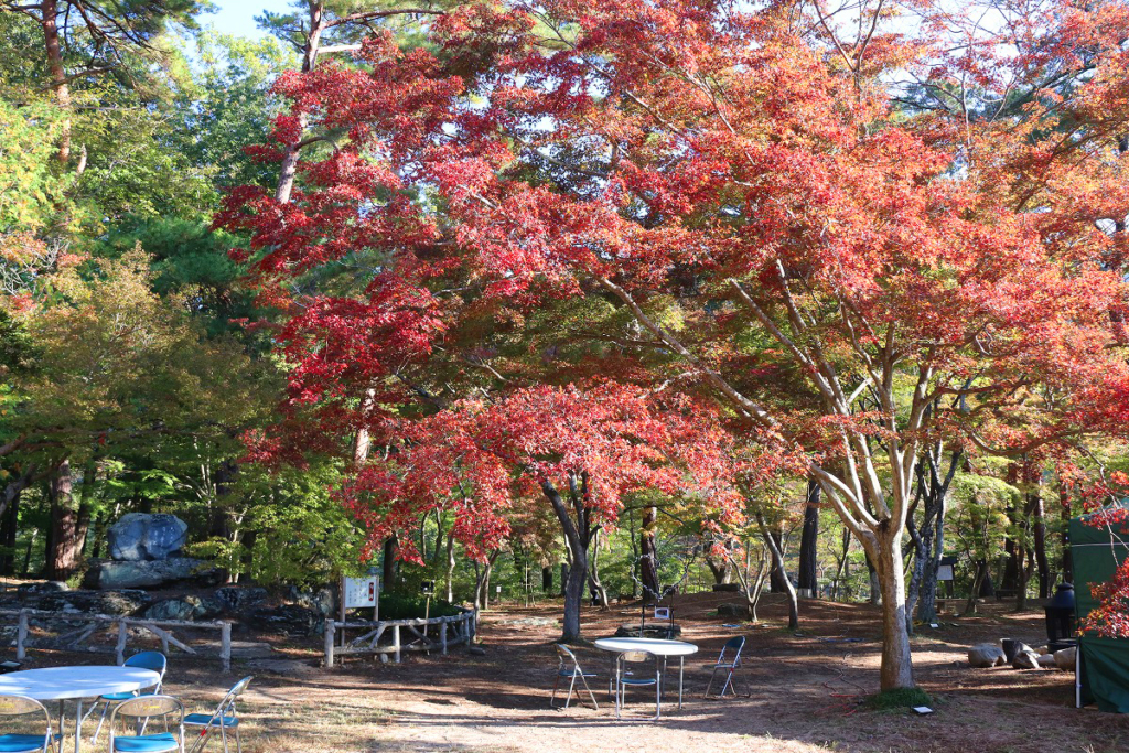 月の石もみじ公園紅葉の画像