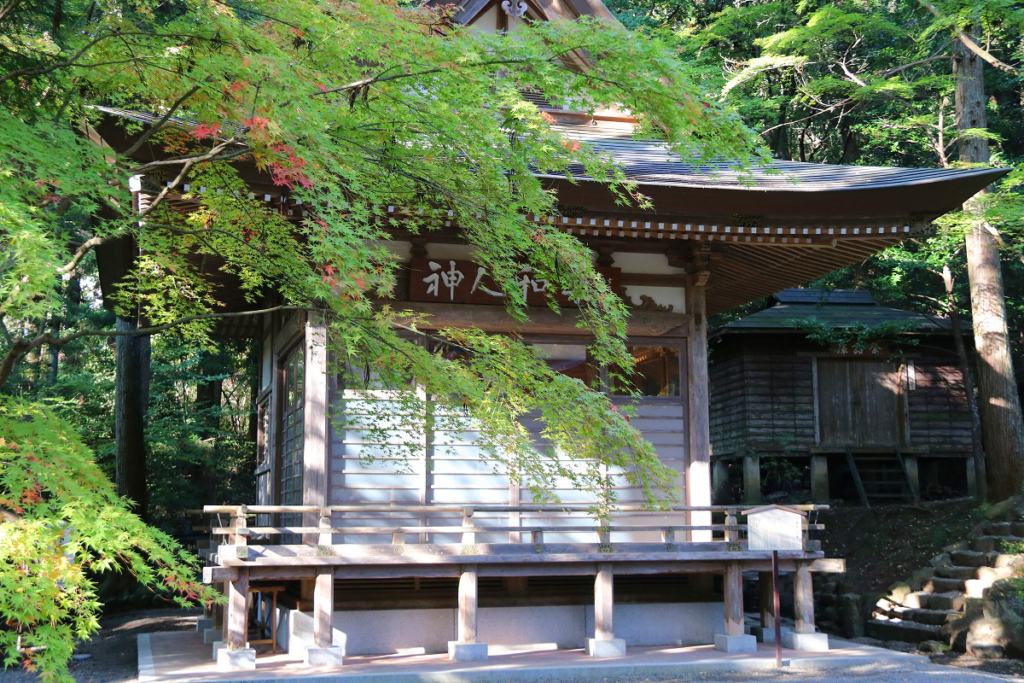 寶登山神社紅葉の画像