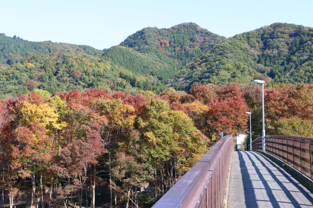 長瀞町金石水管橋の画像