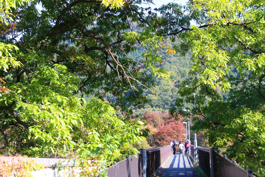 長瀞町金石水管橋の画像