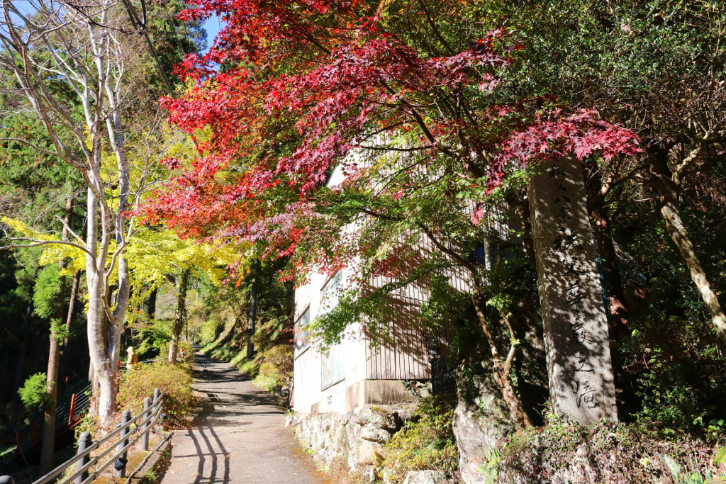 秩父華厳の滝の画像