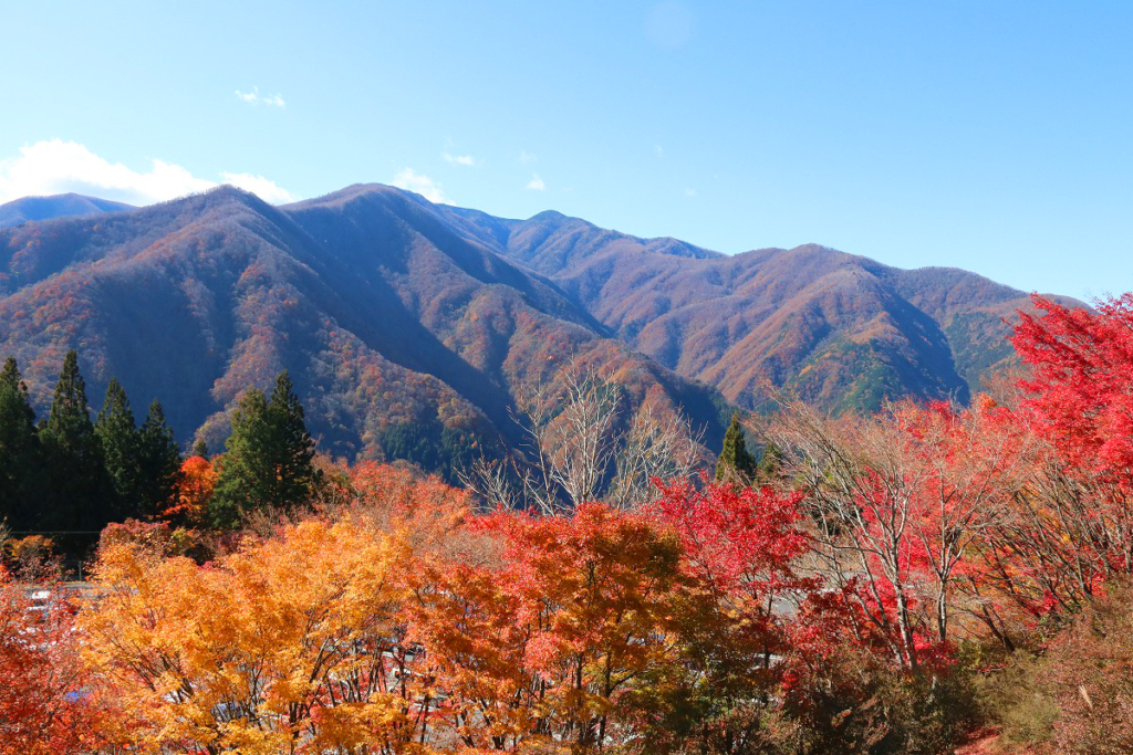 三峯神社周辺紅葉の画像