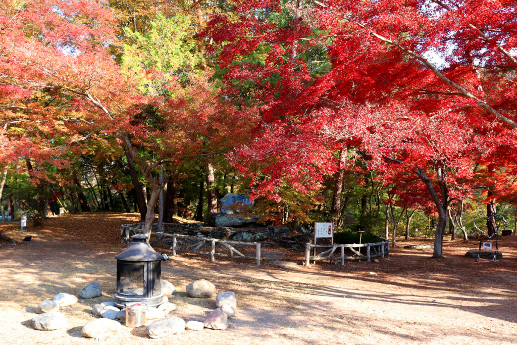 月の石もみじ公園紅葉の画像