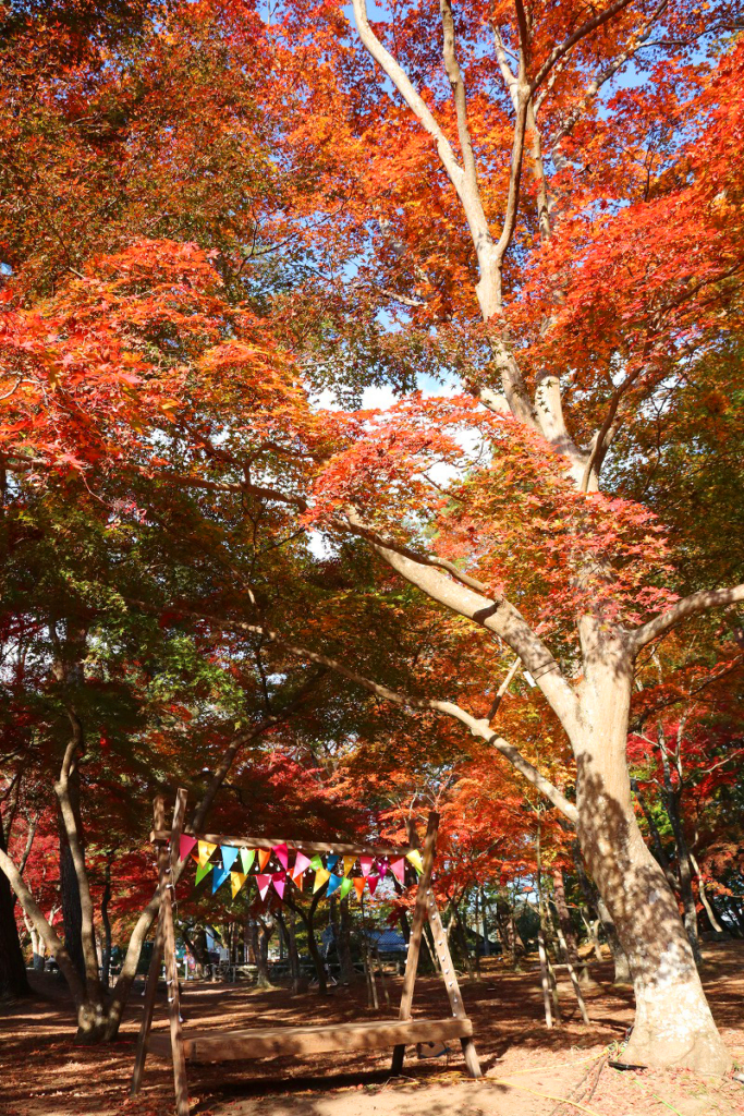 月の石もみじ公園紅葉の画像