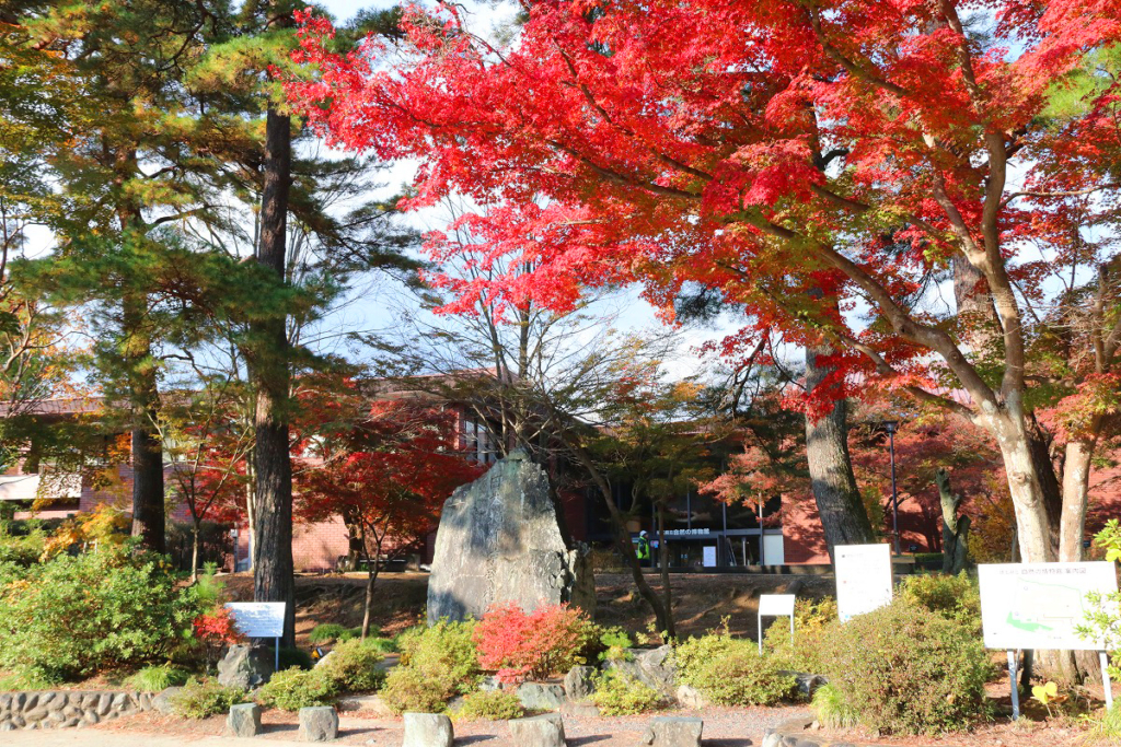 月の石もみじ公園紅葉の画像