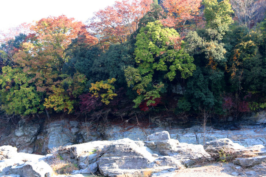 岩畳周辺の紅葉画像