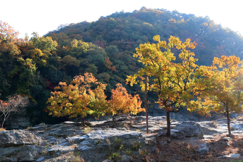 岩畳周辺の紅葉画像