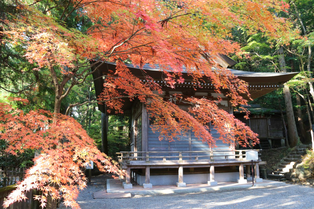 寶登山神社紅葉の画像