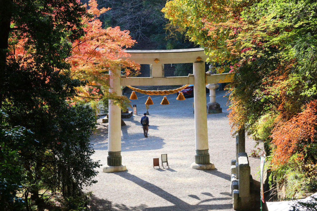 寶登山神社紅葉の画像