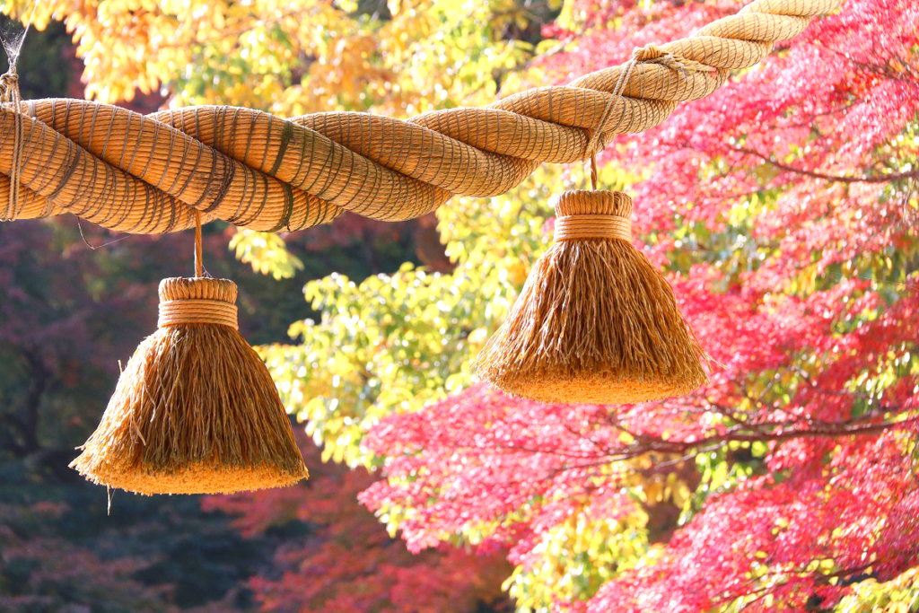 寶登山神社紅葉の画像