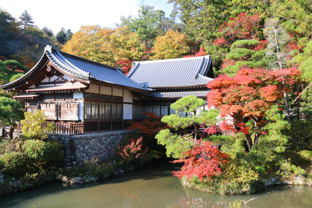 寶登山神社紅葉の画像