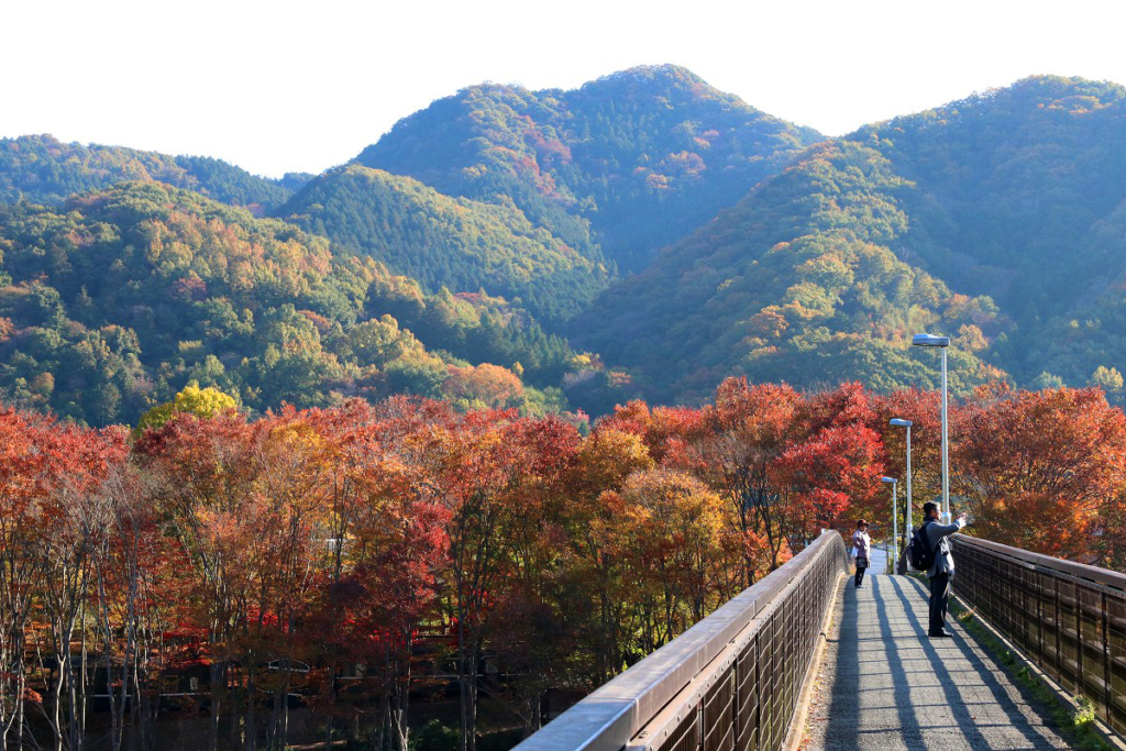 長瀞町金石水管橋の画像