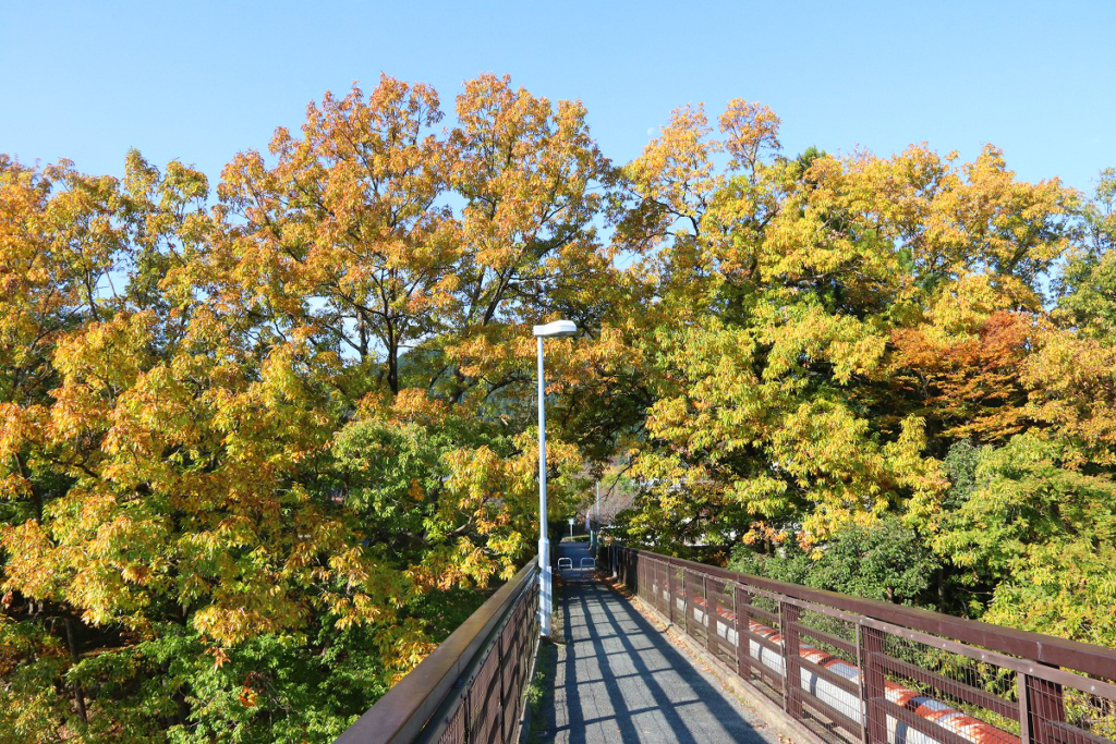 長瀞町金石水管橋の画像