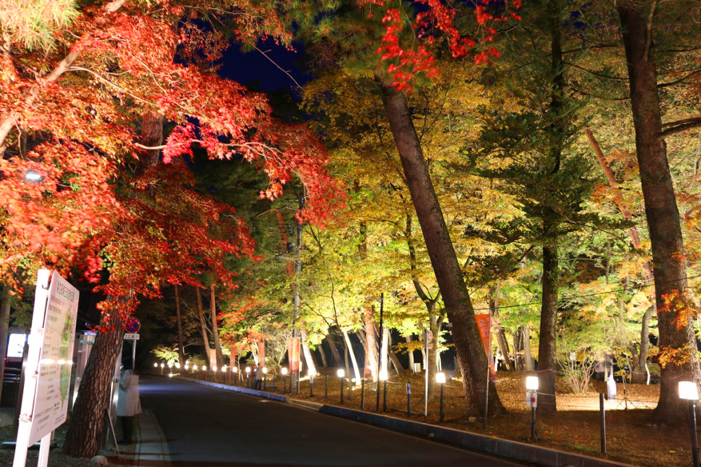 月の石もみじ公園紅葉ライトアップの画像