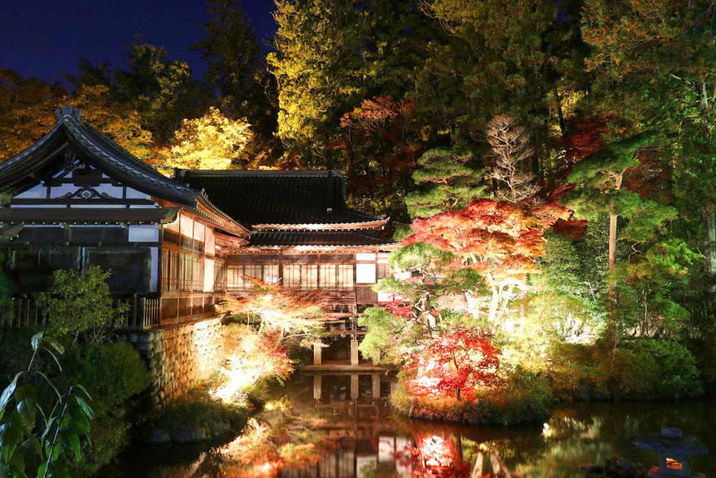 寶登山神社紅葉ライトアップ