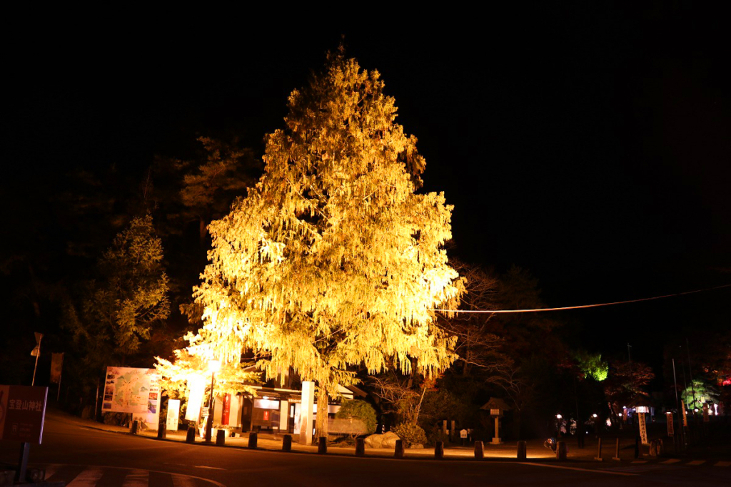 寶登山神社紅葉ライトアップ