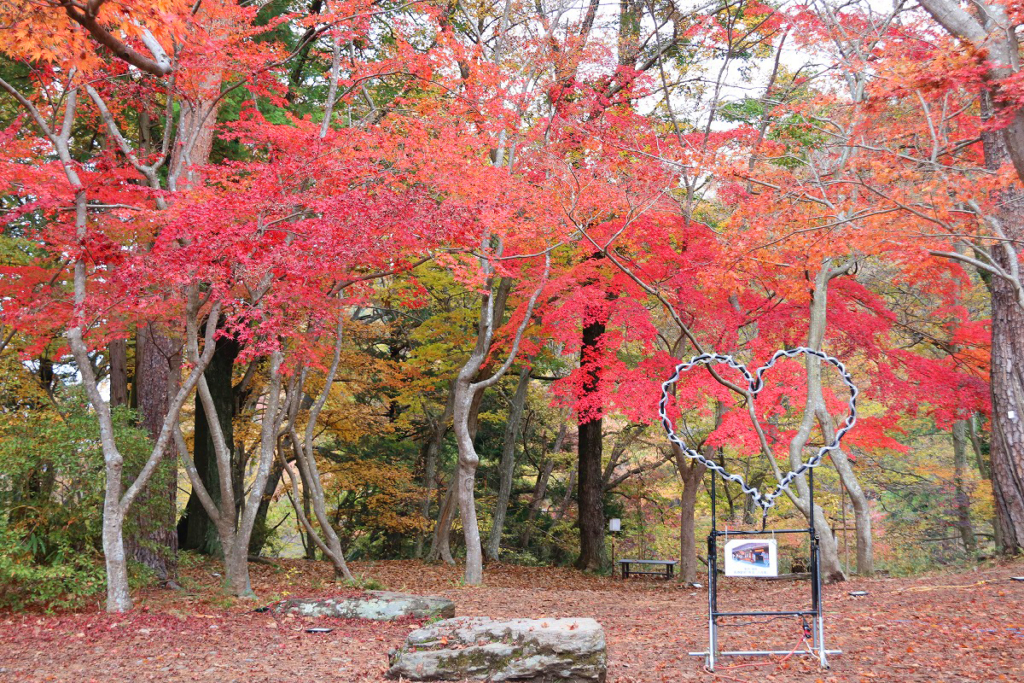 月の石もみじ公園紅葉の画像