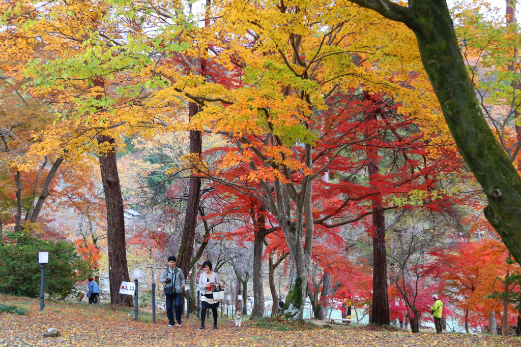 月の石もみじ公園紅葉の画像