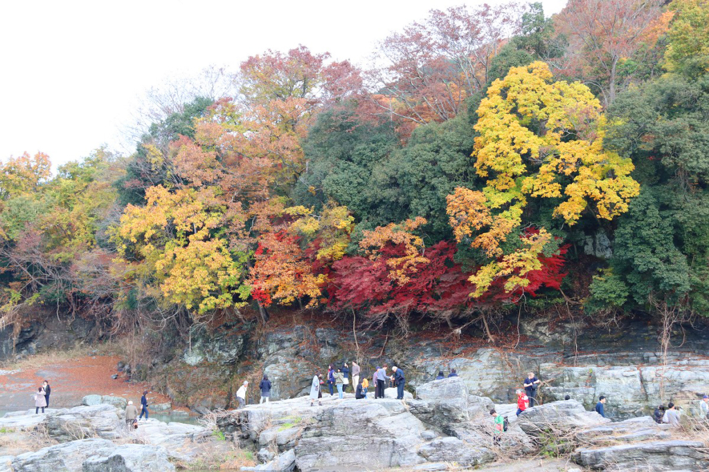 岩畳周辺の紅葉画像