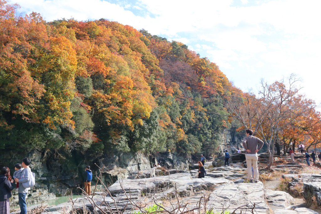 岩畳周辺の紅葉画像