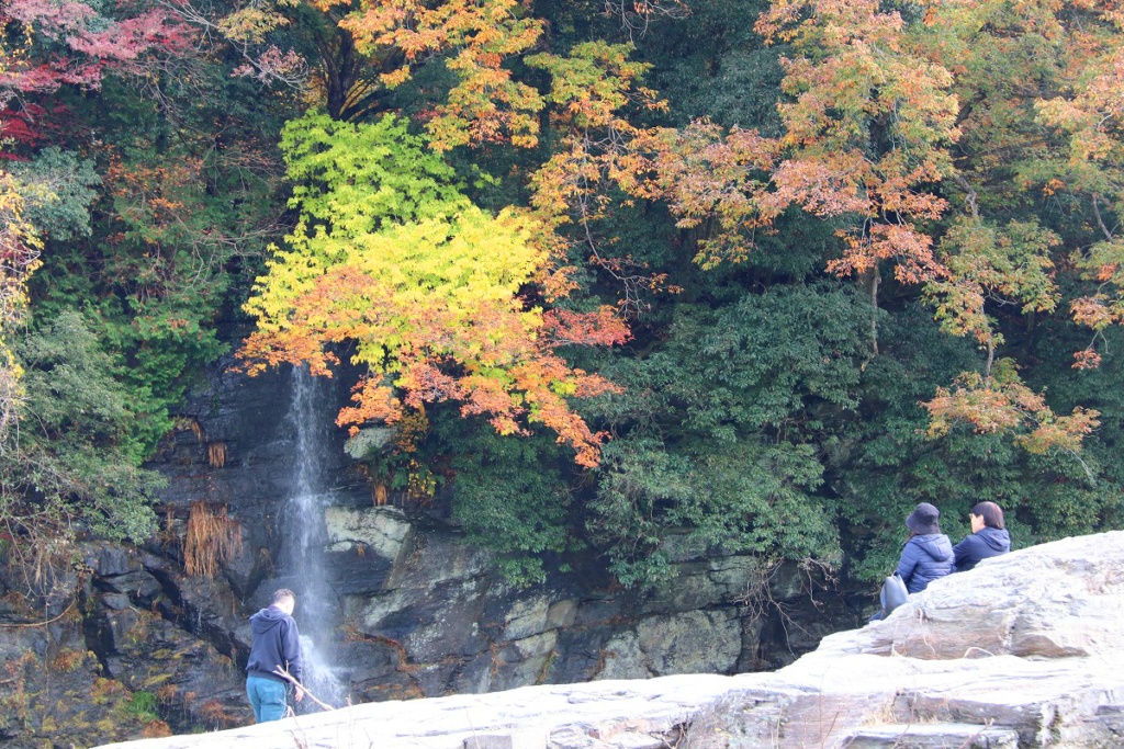 岩畳周辺の紅葉画像