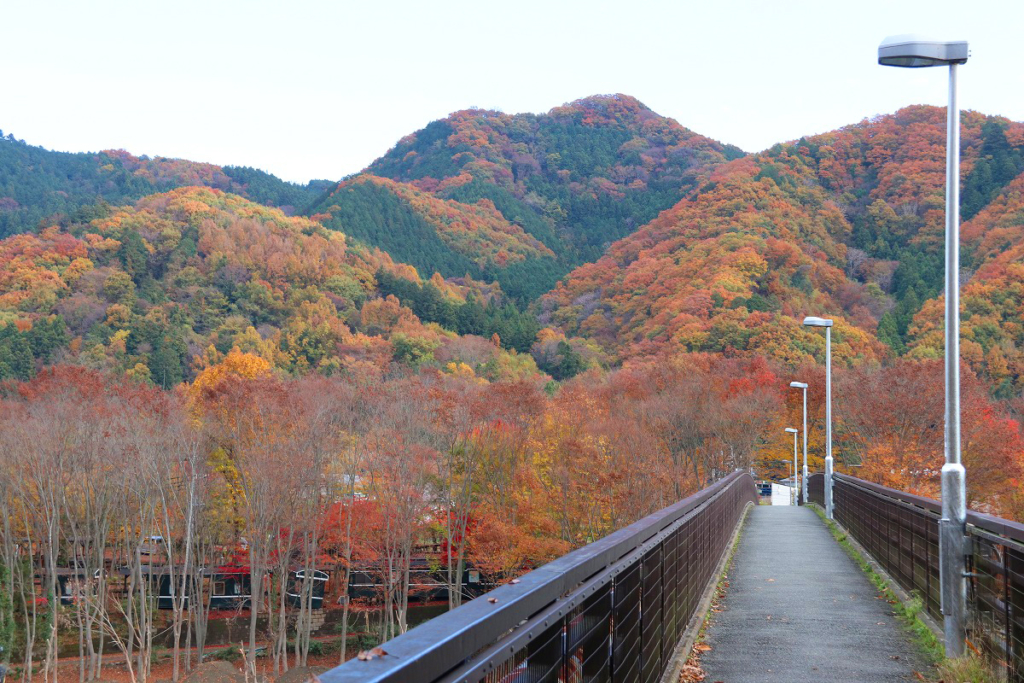 長瀞町金石水管橋の画像