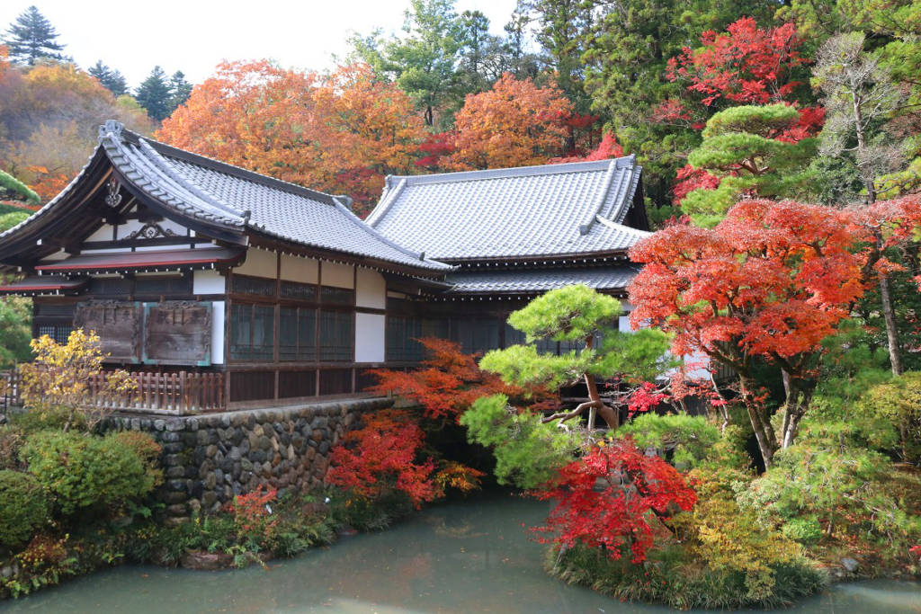 寶登山神社紅葉の画像