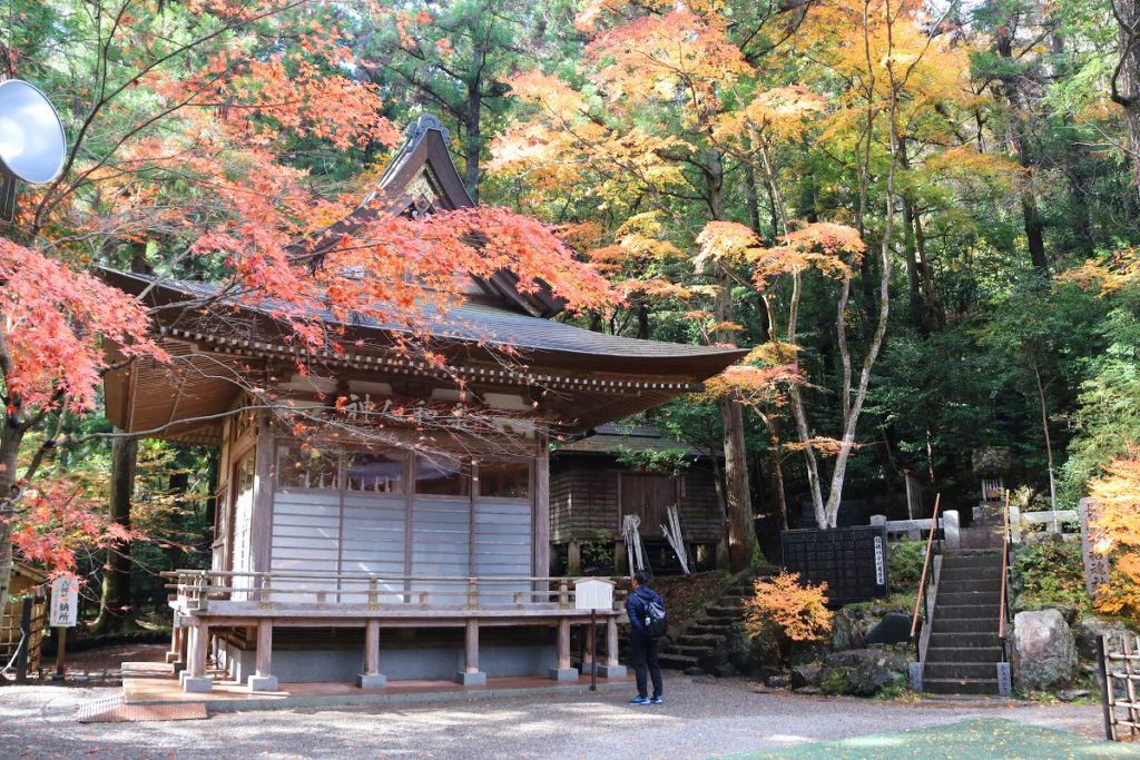 寶登山神社紅葉の画像