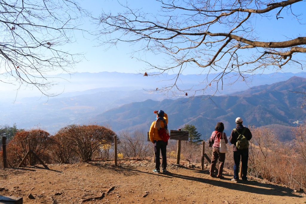 宝登山ロウバイ園の画像