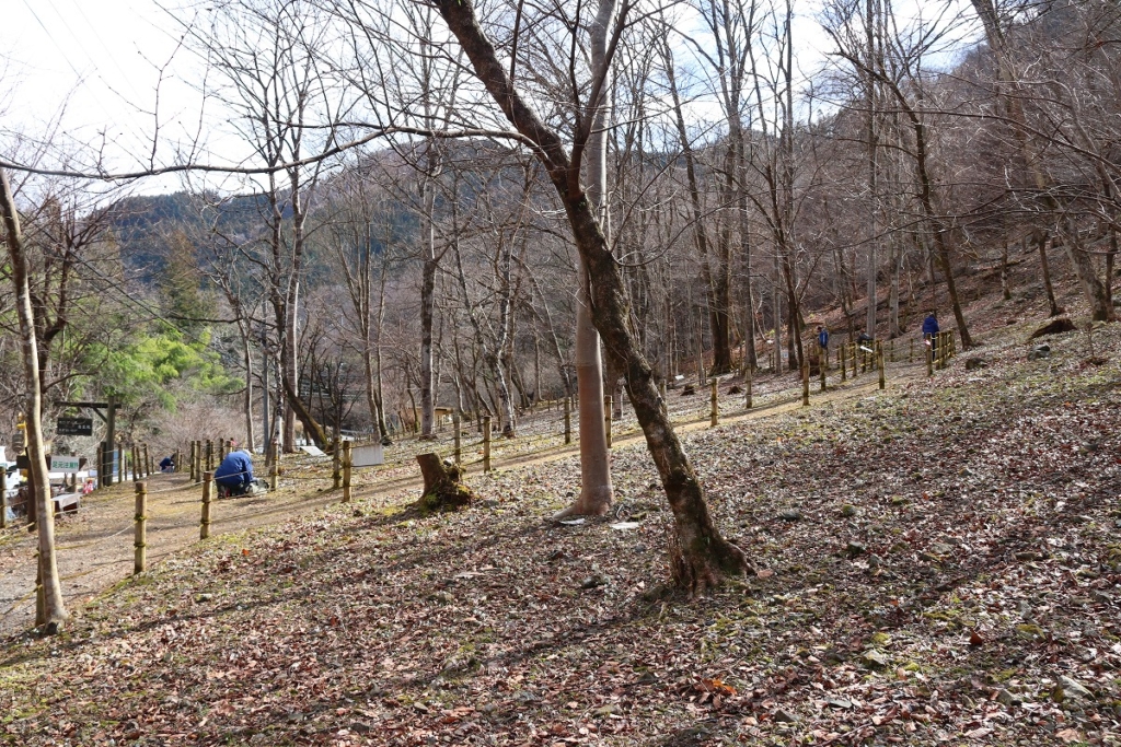 堂上節分草園の画像