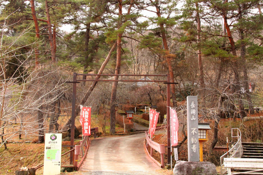 不動寺しだれ梅園の画像