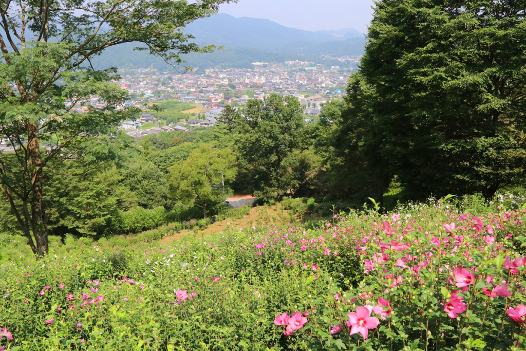 ムクゲ自然公園の画像