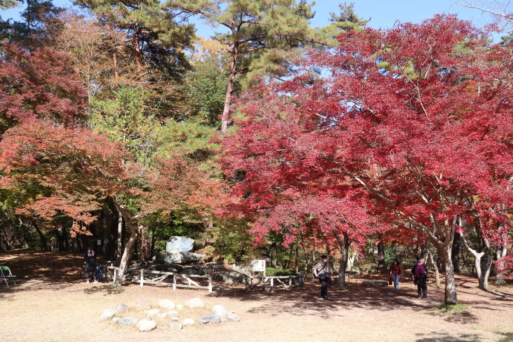 月の石もみじ公園紅葉の画像