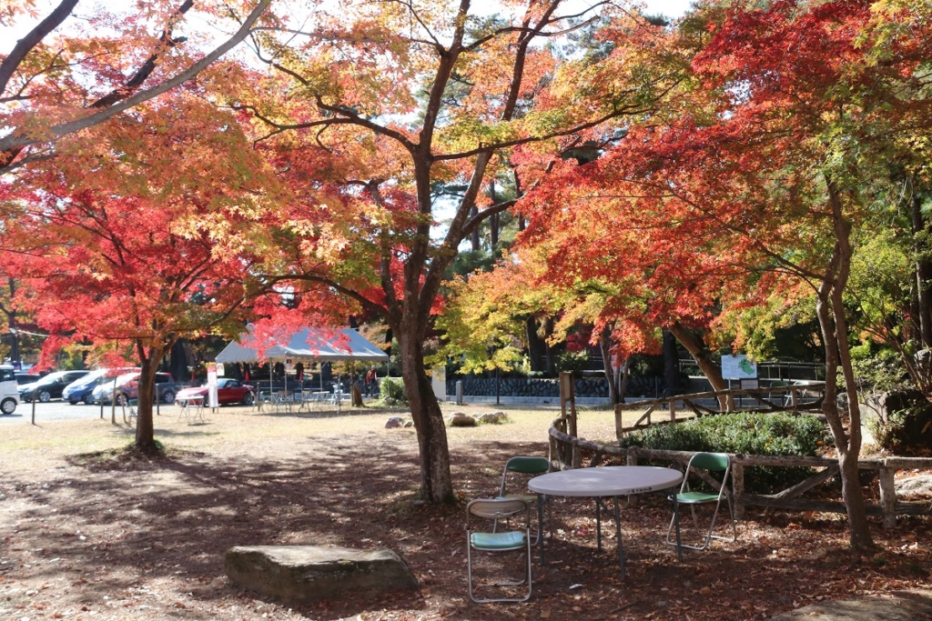 月の石もみじ公園紅葉の画像