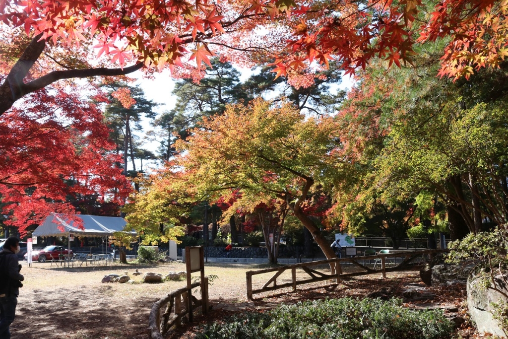 月の石もみじ公園紅葉の画像