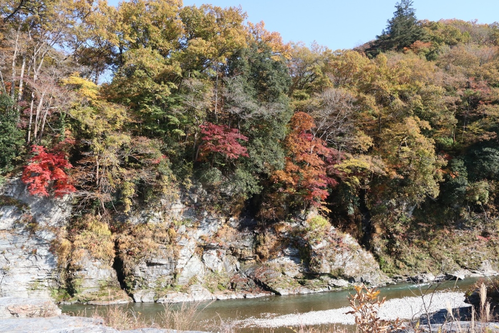 長瀞岩畳周辺紅葉の画像