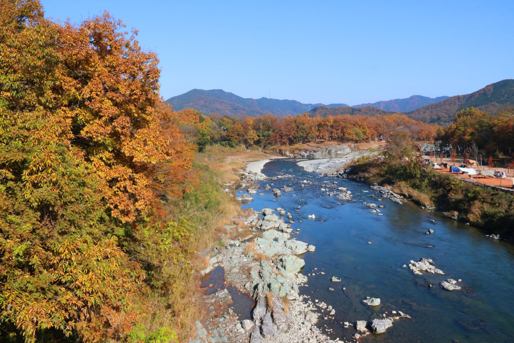 金石水管橋紅葉の画像